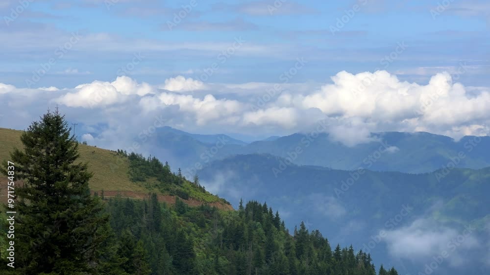 The plateau is covered with clouds that move over the mountain valley. The movement of the fog creeping over the hills at dawn. Mountains and fog on the Pokut plateau in the highlands of the Black Sea The plateau is covered with clouds that move over the mountain valley. The movement of the fog creeping over the hills at dawn. Mountains and fog on the Pokut plateau in the highlands of the Black Sea