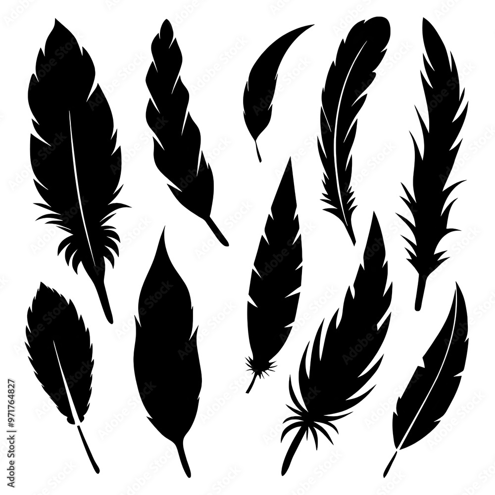 This artwork features a diverse assortment of black silhouetted feathers in various shapes and sizes perfect for graphic design or decorative purposes This artwork features a diverse assortment of black silhouetted feathers in various shapes and sizes perfect for graphic design or decorative purposes
