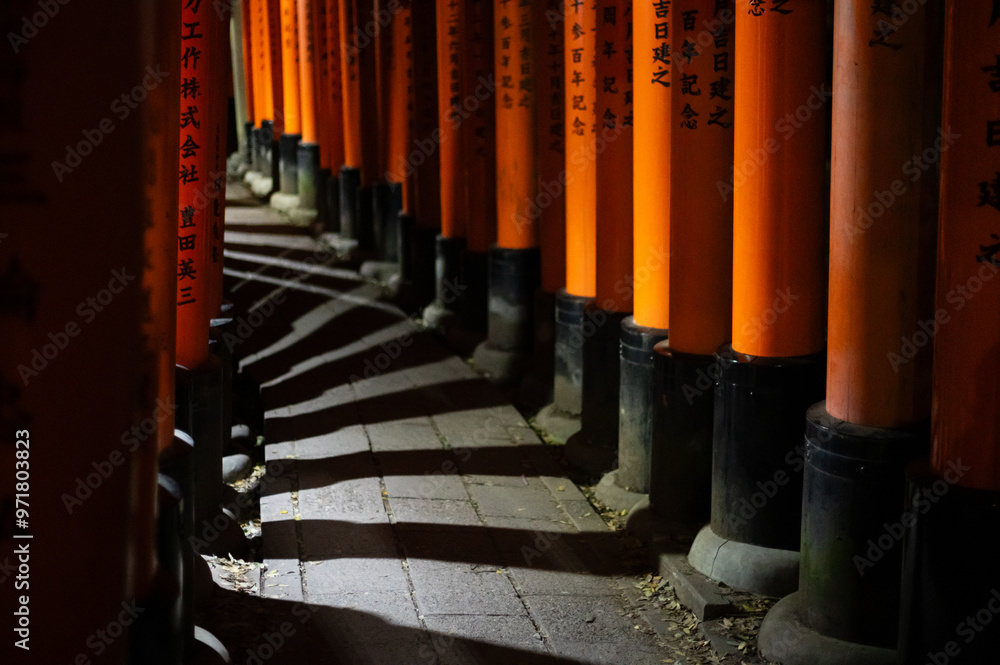 Shadows and Light on Torii Gates at Night in Fushimi Inari Shadows and Light on Torii Gates at Night in Fushimi Inari