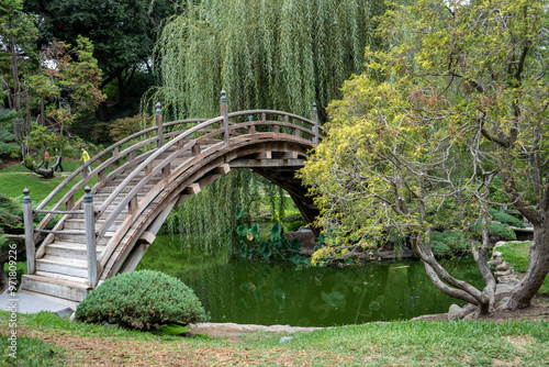 bridge in the park