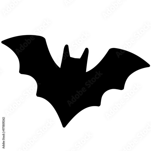 bat silhouette photo