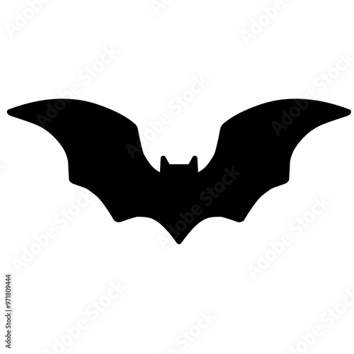 bat silhouette photo