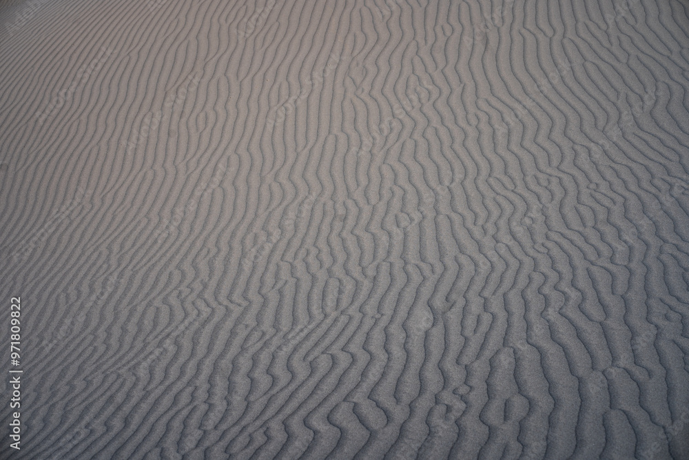 ripples in the sand ripples in the sand
