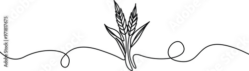 Ears of  wheat  one continuous line drawing .Fall harvest line art. Vector  one line of spikelet . Thanksgiving symbol.Grain.