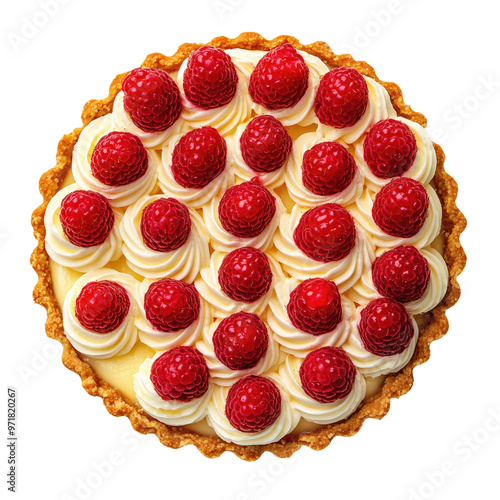 Delicious Raspberry Fruit T...