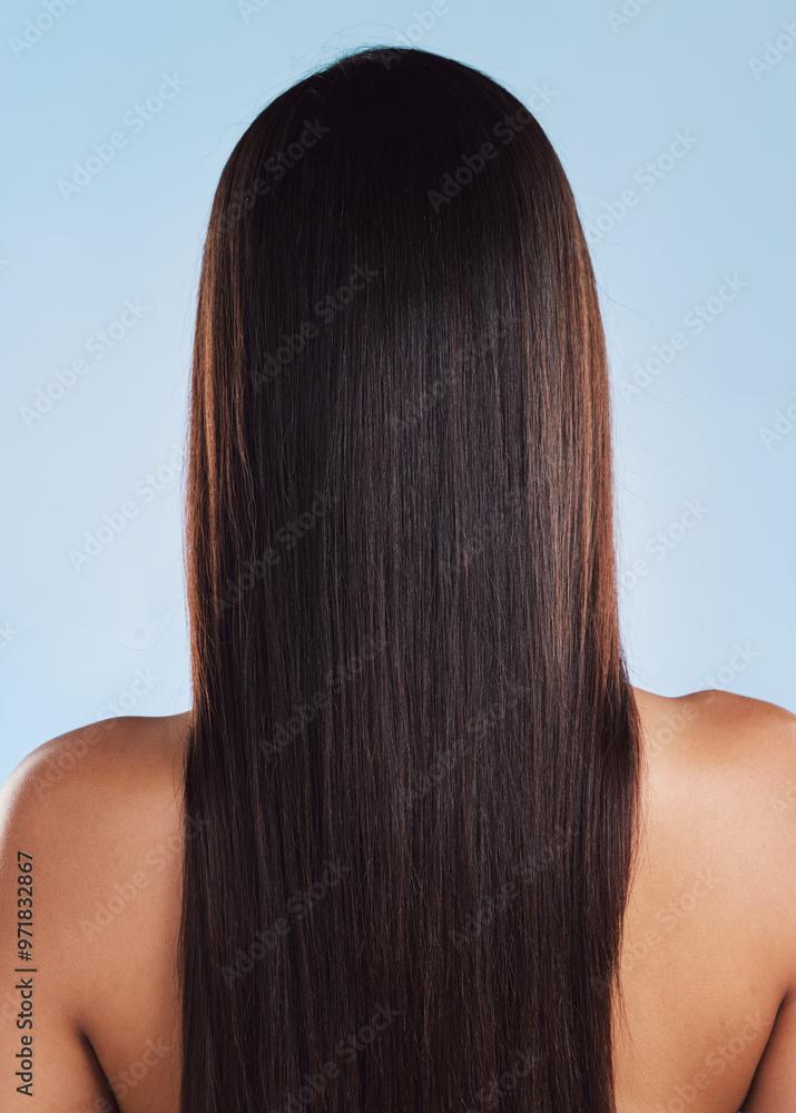 Fototapeta premium Salon, hair and back of woman in studio for growth, wellness and keratin treatment for texture. Hairdresser, salon aesthetic and isolated person with shine, cosmetics and health on blue background