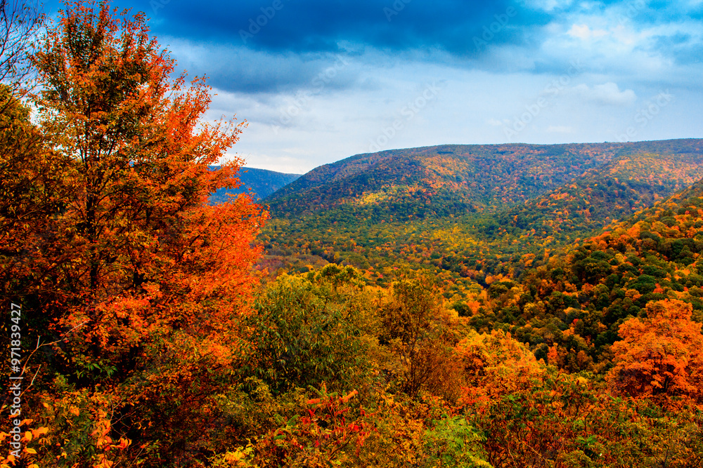 Fototapeta premium Ohiopyle State Park in Autumn, Pennsylvania