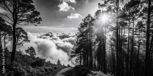 sunset in the mountainstree, winter, snow, landscape, nature, forest, trees, sky, cold, white, fog, mountain, water, road, black and white, season, wood, sun, river, ice, black, storm, autumn, scene,  photo