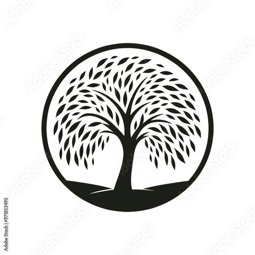 Graceful Weeping Willow Tree Silhouette Vector – Perfect for Nature, Home Decor, Invitations, and Designs