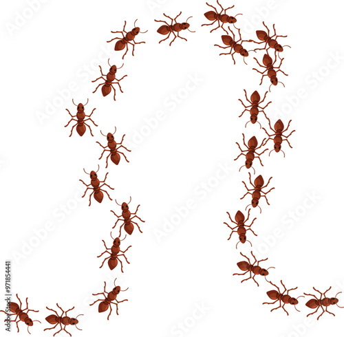 Many ants are marching in a line, forming a large circle