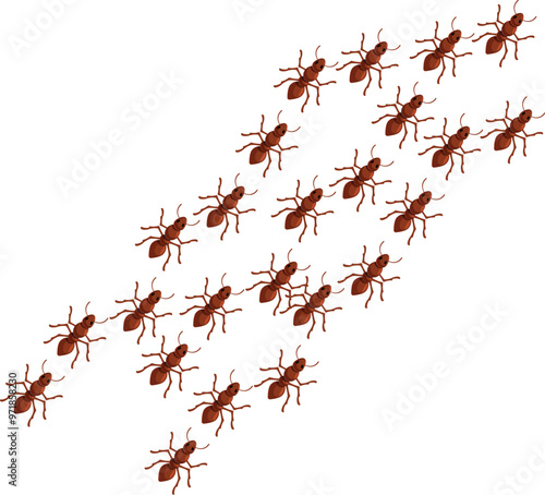Colony of ants is marching together in a row on a white background