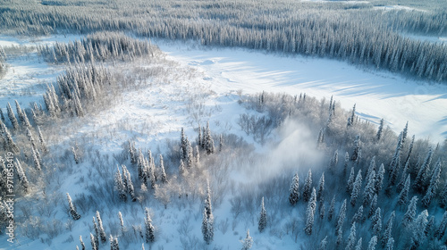 Aerial view of a frozen river winding through a snow covered forest