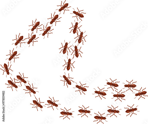 Many ants are crawling, forming a question mark shape