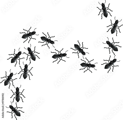 Group of black ants are following each other in a trail