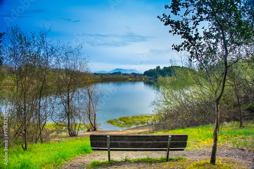 bench on the lake