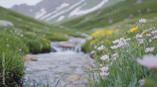 At sunrise, gentle water cascades down rocks amidst blooming wildflowers, creating a serene natural display in a peaceful valley