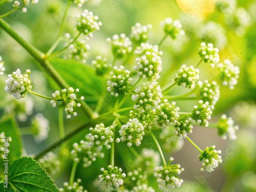 Delicate, lime-green chia leaves with scattered, tiny white flowers on a slender stem, set against a soft, dreamy blurred background with natural textures. photo