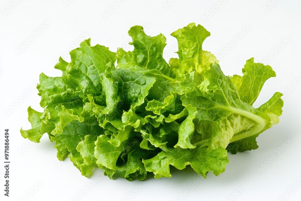 green lettuce leaves on white background for salad , ai green lettuce leaves on white background for salad , ai