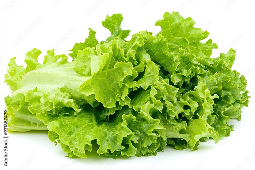 green lettuce leaves on white background for salad , ai green lettuce leaves on white background for salad , ai