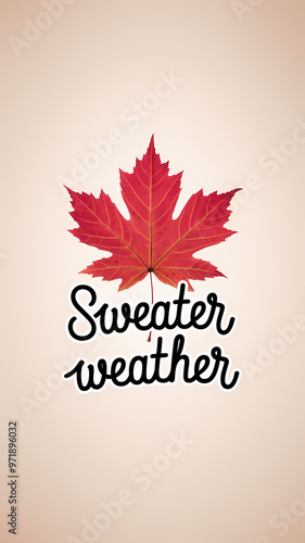 Sweater Weather, autumn leaves , typography,  fall quotes , isolated on white background 