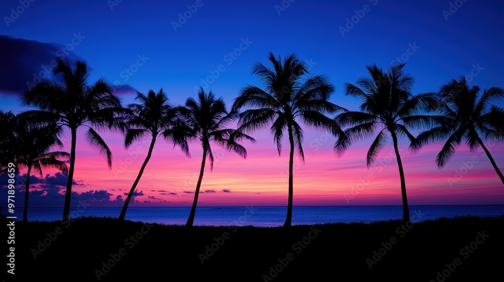Serene Silhouette of Palm Trees on Dramatic Tropical Horizon Serene Silhouette of Palm Trees on Dramatic Tropical Horizon
