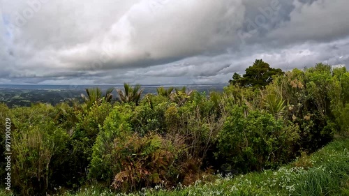 Panoramic View of the Lush Rainforest of the Iconic Waitakere Ranges from Pukematekeo Lookout, Auckland Region, New Zealand photo