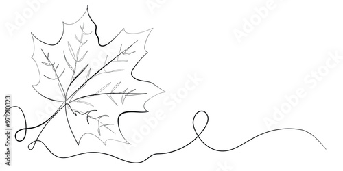 continuous line maple leaf.one line drawing of maple leaf icon.single line vector illustration.isolated white background