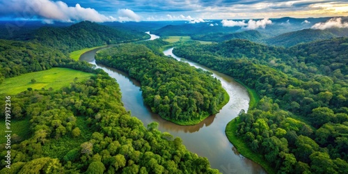 Aerial view of winding river cutting through lush rainforest in Latin America, rainforest, Latin America, aerial view, river