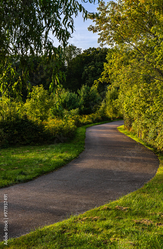 Mysterious path in the middle of a diverse forest, surrounded by green bushes and grass found in Hamilton, Ontario, Canada.