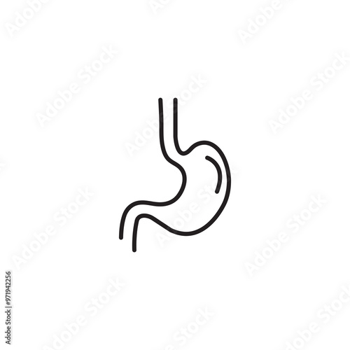 Stomach line icon. vector flat black linear illustration for web and app..eps