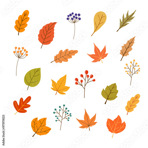 Colorful autumn leaves set
