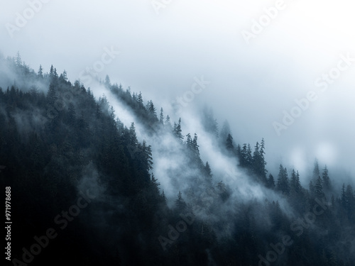 Canvas Print fog in the mountains