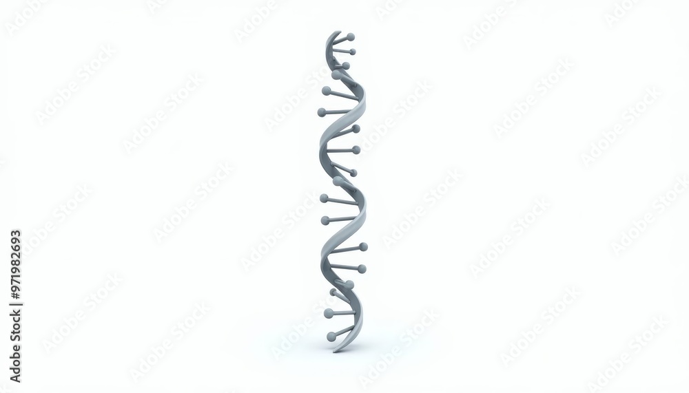 3D rendering of a DNA double helix structure 3D rendering of a DNA double helix structure