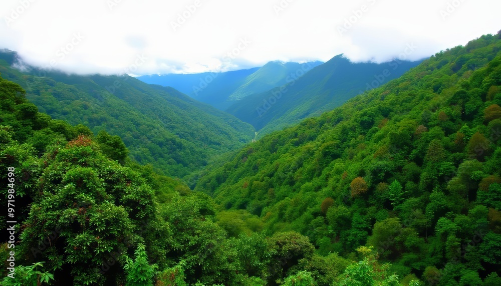 Vast verdant valley under a clear sky Vast verdant valley under a clear sky