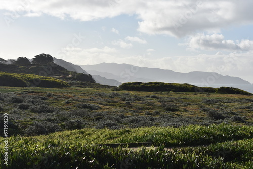 Caminata en la bahía de San Francisco