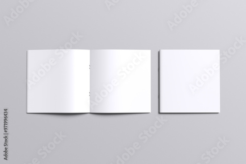 Square Brochure Blank