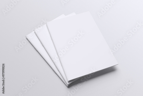 A4 Brochure Blank