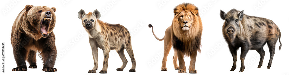 Obraz premium Group of wild animals, isolated on transparent background, cut out