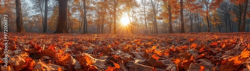 Wallpaper Mural Beautiful autumn forest with sunlight filtering through the trees and fallen leaves covering the ground, creating a serene and colorful atmosphere. Torontodigital.ca