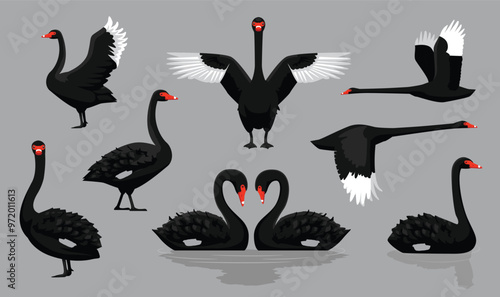 Black Swan Various Poses Cartoon Vector Character