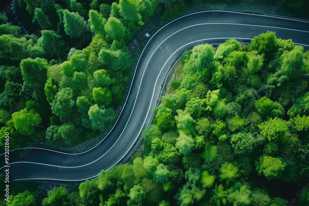 Aerial View of Asphalt Road Winding Through Springtime Forest Aerial View of Asphalt Road Winding Through Springtime Forest