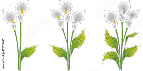 Peace lily flower vector design eps 4