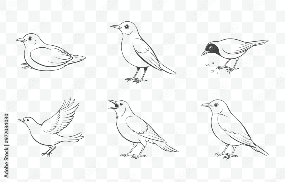 Fototapeta premium Print Blackbird Line Art Vector Set Detailed Illustrations of Blackbirds in Various Poses and Styles