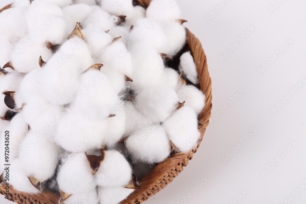 cotton buds on a white cotton buds on a white