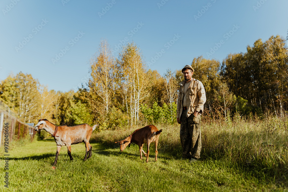 Fototapeta premium Man is walking with her Nubian goats on a natural pasture in a peaceful countryside. A morning walk with goats on a serene pasture reflects a peaceful, eco-friendly lifestyle