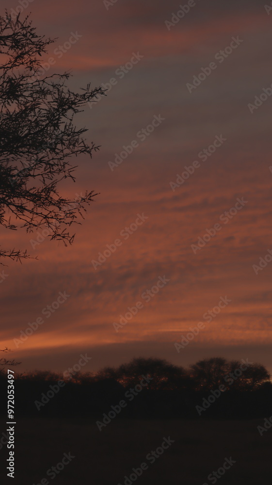 Atardecer Atardecer