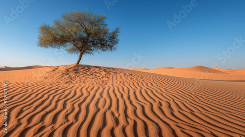 a vast desert landscape, rippling sand dunes, lone tree