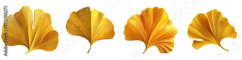 3D of vibrant yellow ginkgo leaf with transparent background in minimalist style.