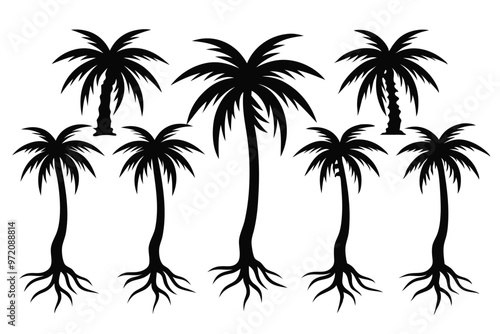 plam tree with root silhouette vector,icon on white background.