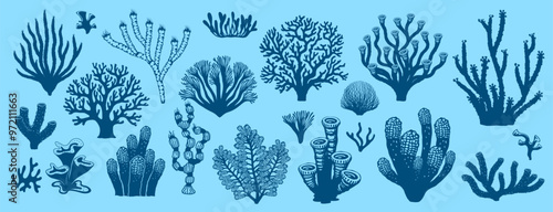 Sea coral reef and seaweed silhouettes. Underwater dark blue plants. Vector set of diverse marine life species found in reef ecosystems. Branching, leafy and fan-shaped corals, rich biodiversity weeds